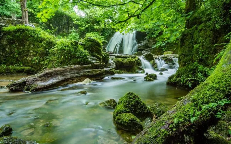 高标准科技科技